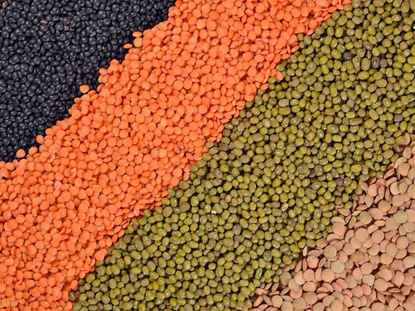 Промышленные смесители для кормовой промышленности